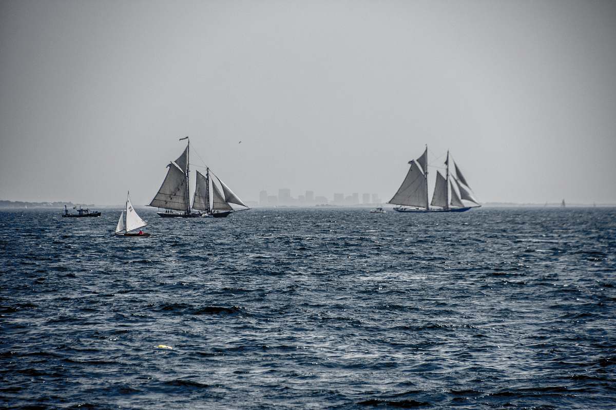 sailboat three white sailing boats on body of water transportation