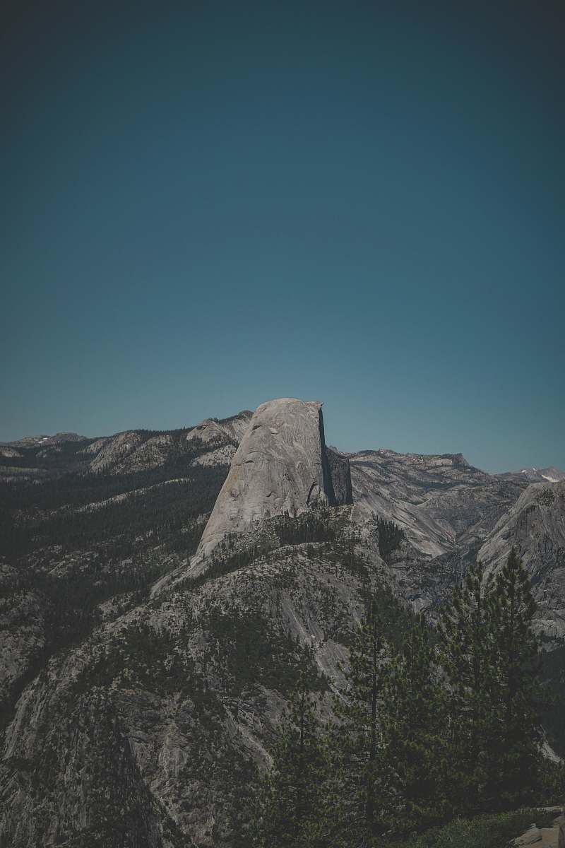 nature trees on gray mountain outdoors