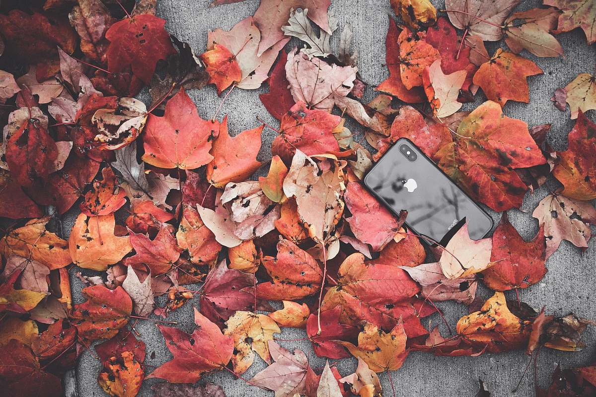 person black iPhone X beside withered leaves people