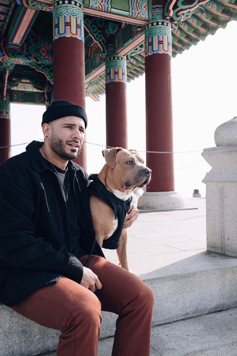 person man in black jacket sitting beside brown and white short coated dog korean bell of friendship