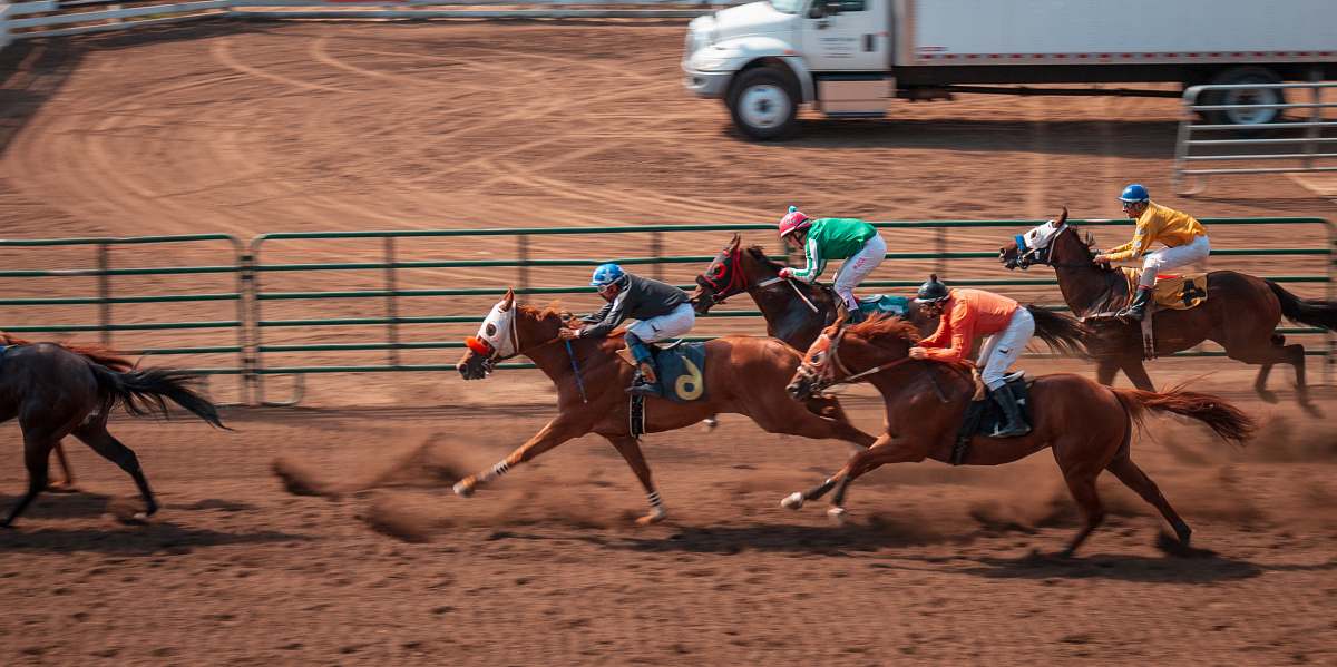 person people doing jockey horse
