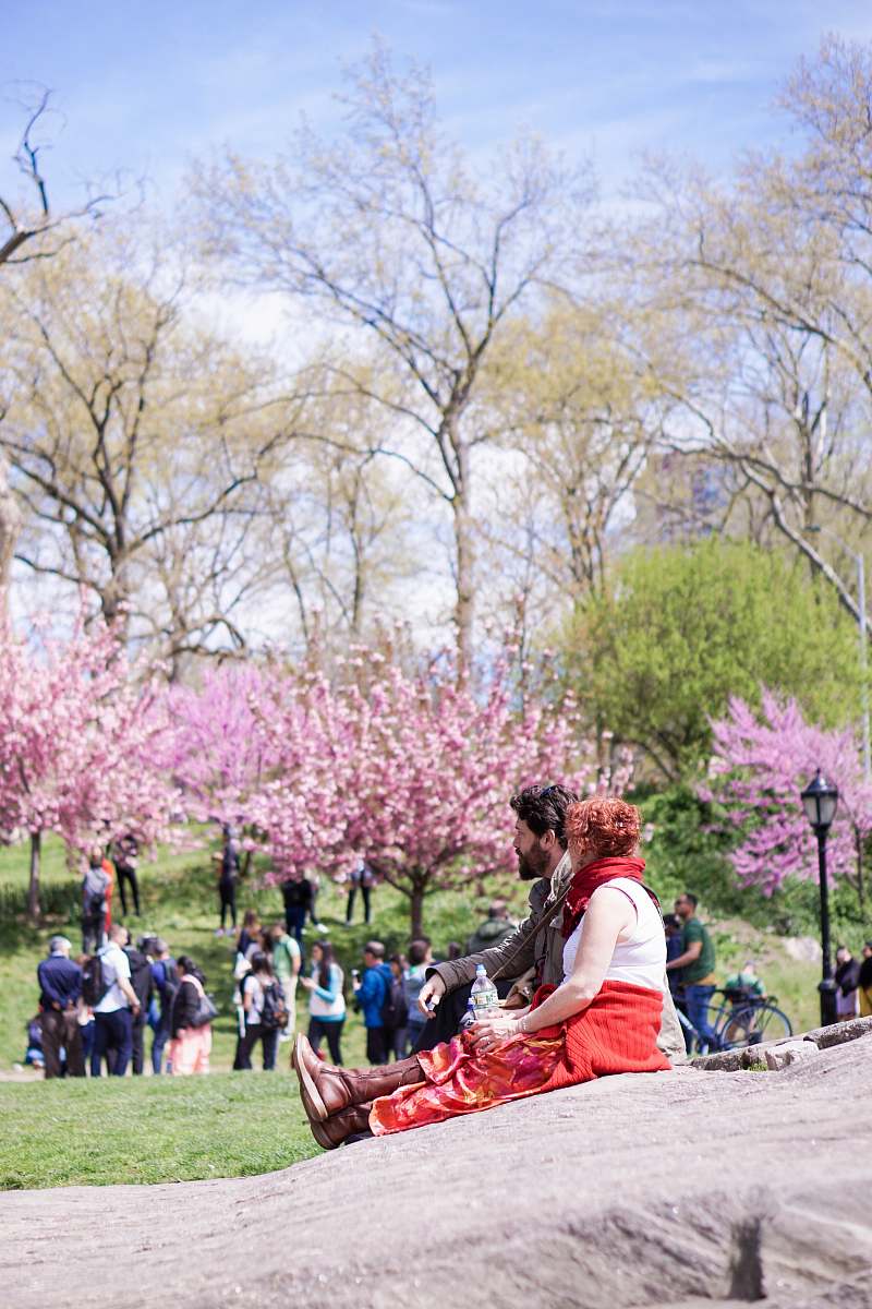 blossom people standing and sitting near trees during daytime plant