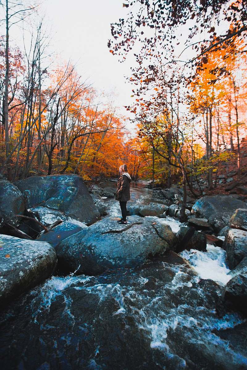 person person standing on top of rock in between waterfall during daytime plant