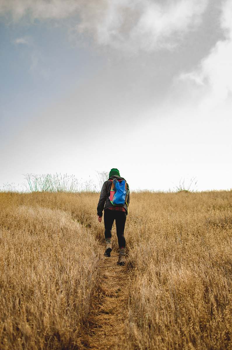 people person walking on brown grass field person
