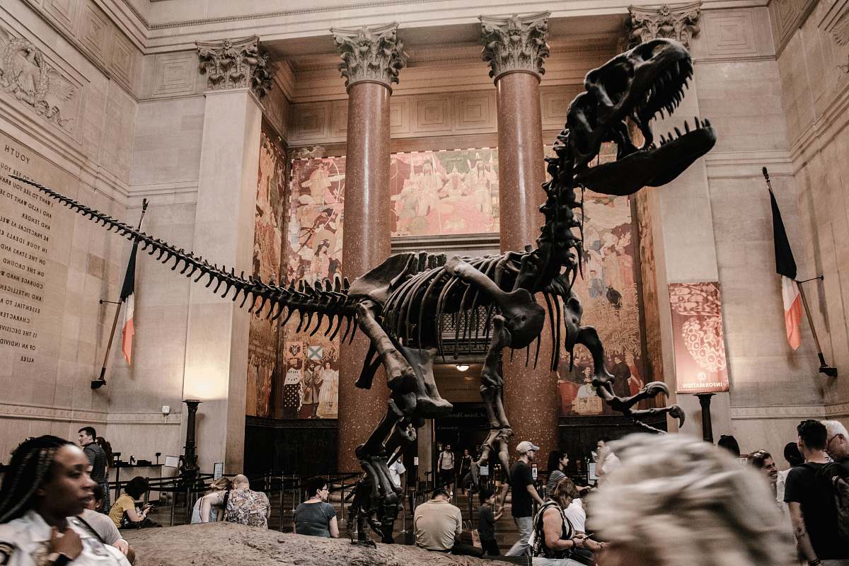 person selective photography of t-rex statue people