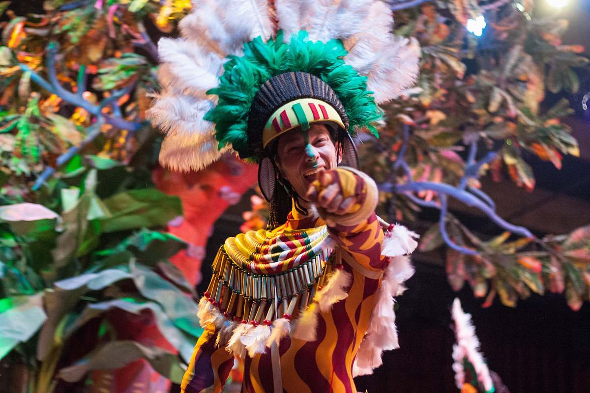 person shallow focus photography of in brown costume carnival