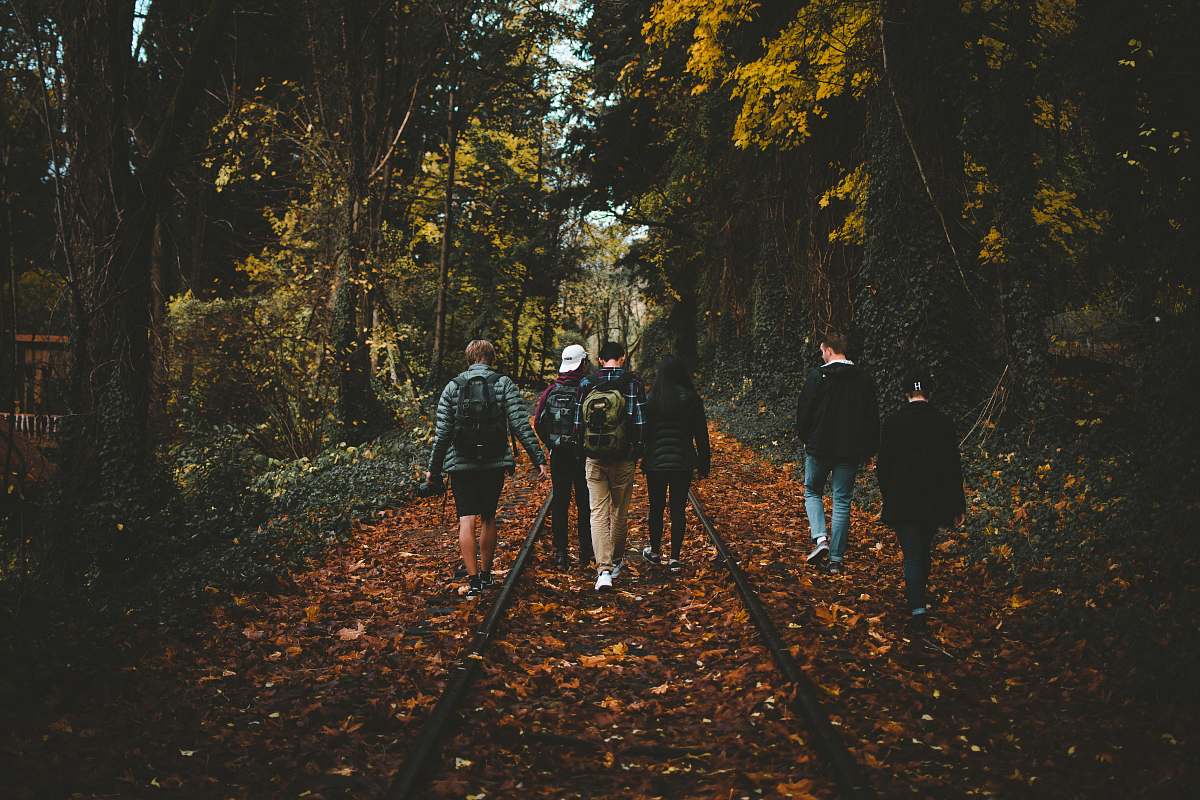 people six person walking on train rail surrounded by tall trees at daytime person