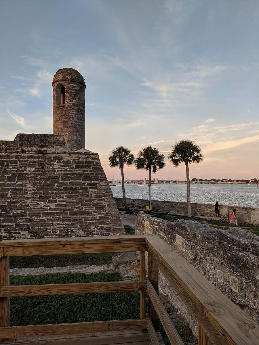 person three palm trees near stone wall plant