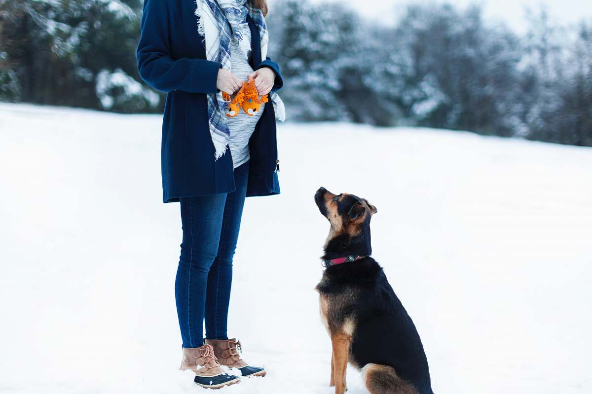 person woman standing beside black dog on snow field people