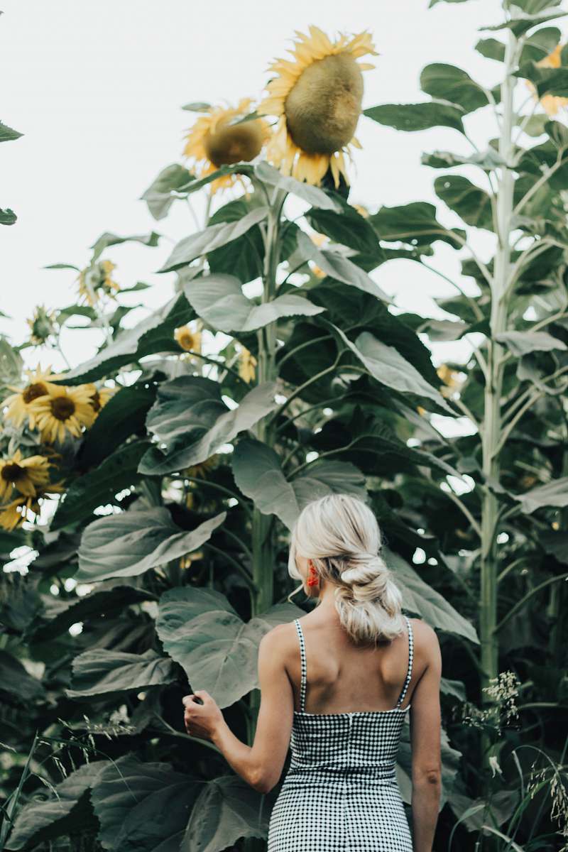 person woman standing by sunflower field people
