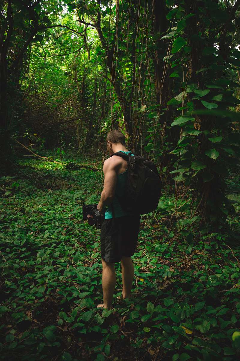 forest man stands near trees and carries black camera and black backpack during daytime plant
