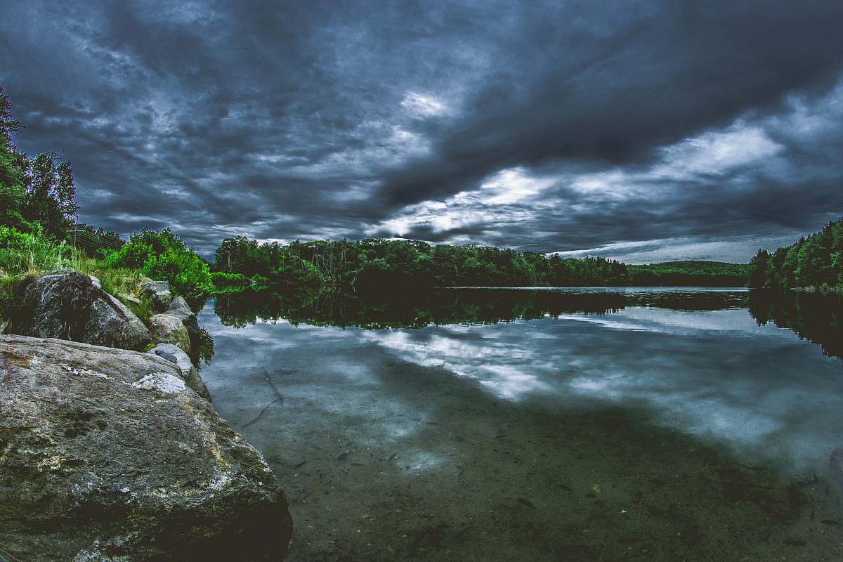 water body of water surrounded by trees under cloudy sky moody