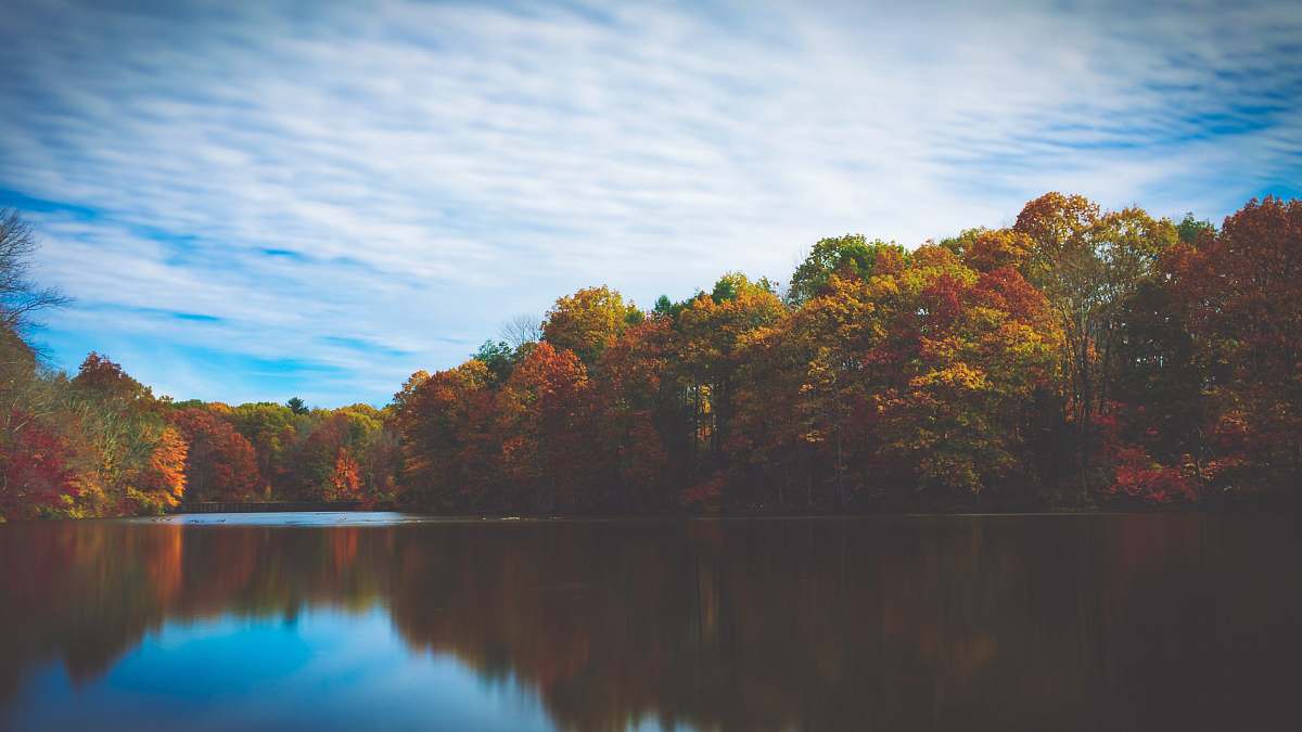 water green leafed trees outdoors