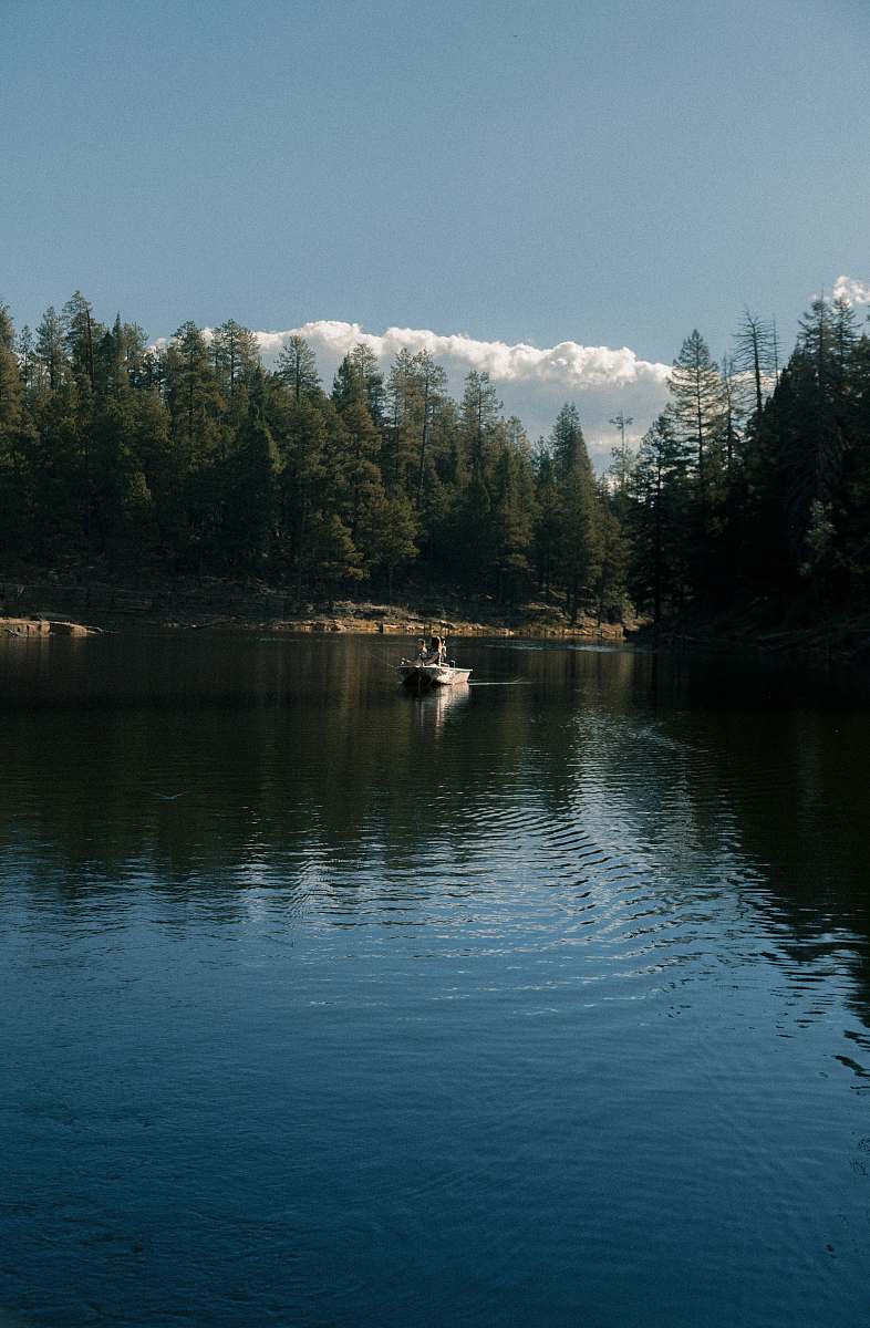 water white boat near trees outdoors
