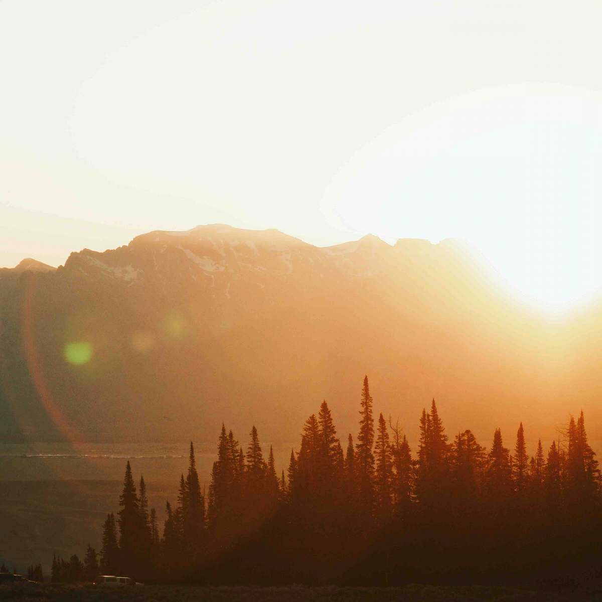 flare  nature