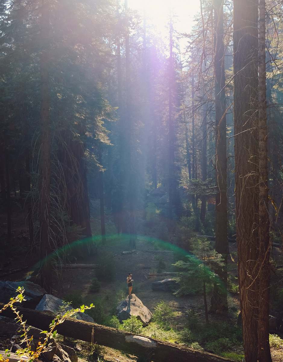 flare person in forest during daytime sunlight