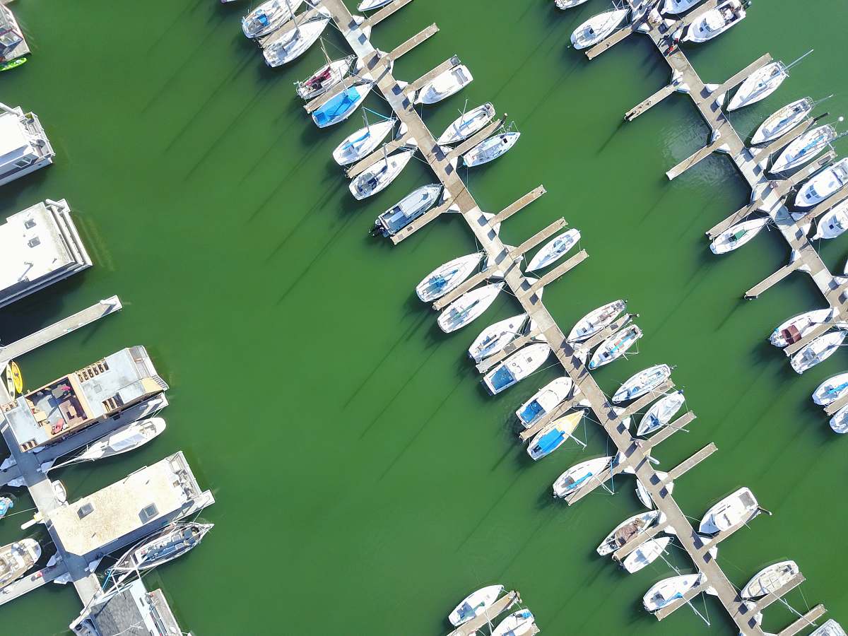 green aerial photography of boats on dock port