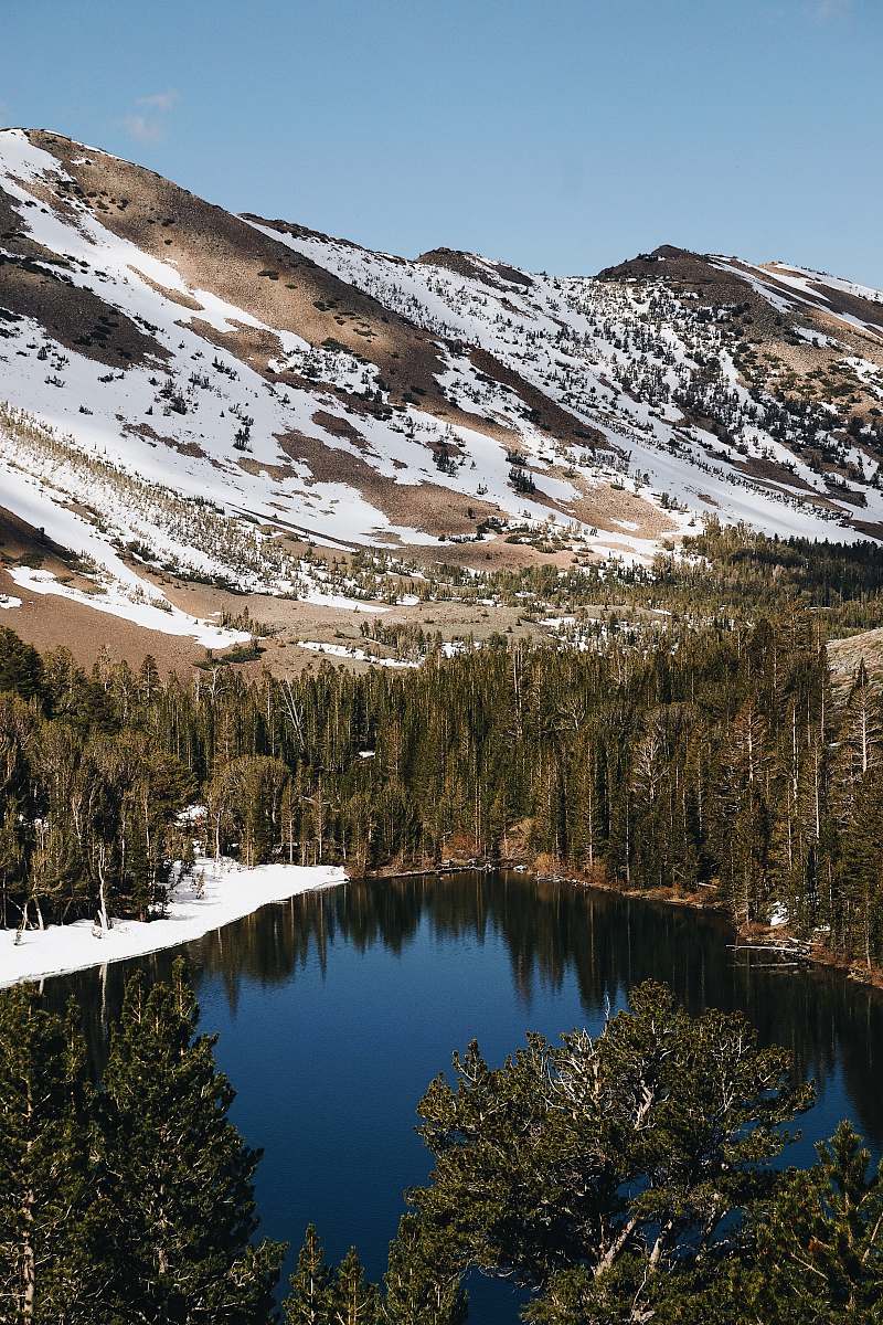 nature aerial photo of mountain covered with snow and trees outdoors