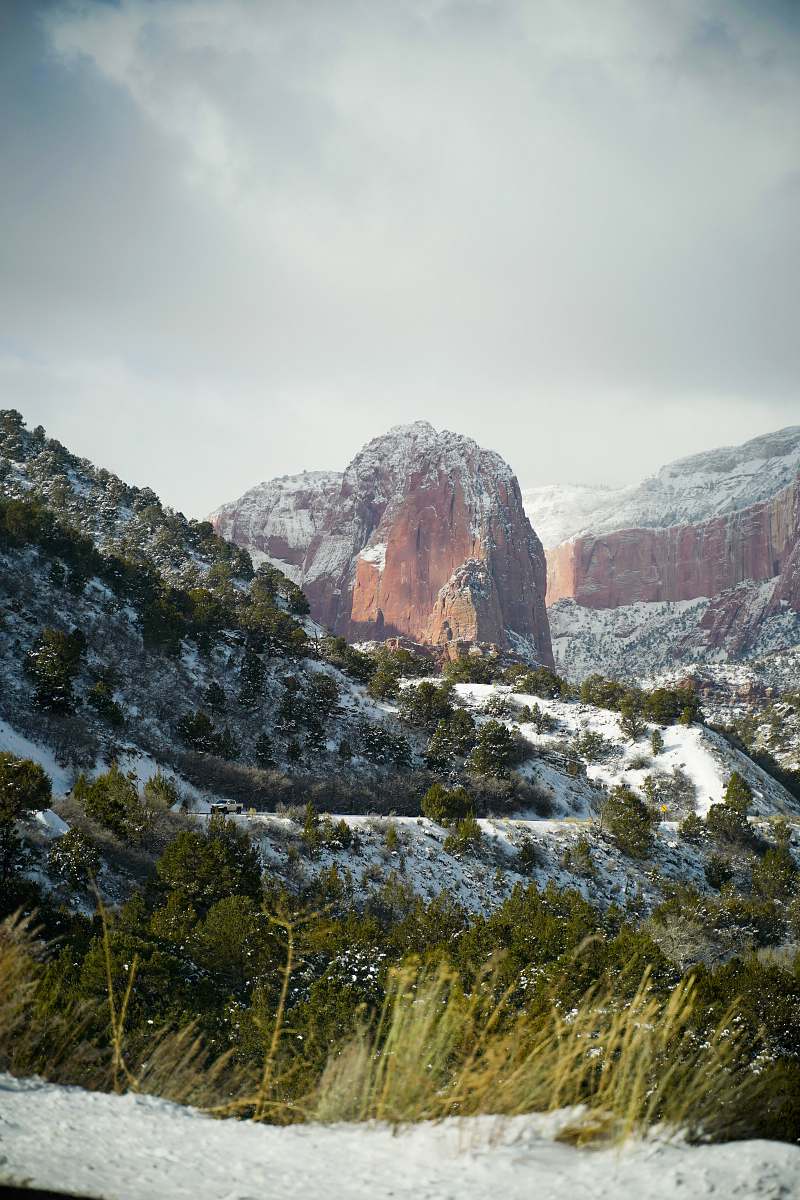 outdoors forest covered with snow nature