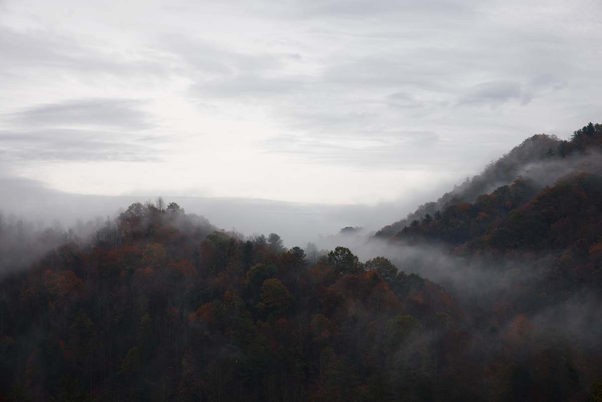 fog photography of white sky blowing rock