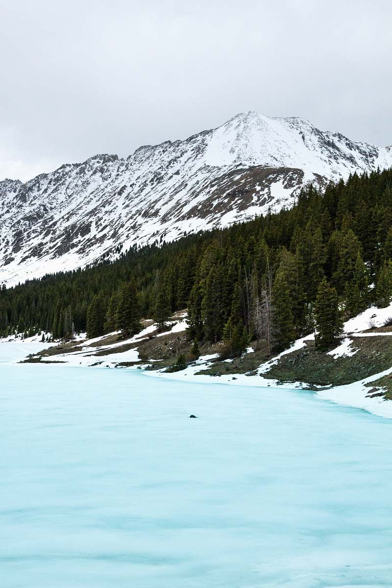 snow tall trees beside frosted body of water with mountain alps in distance ice