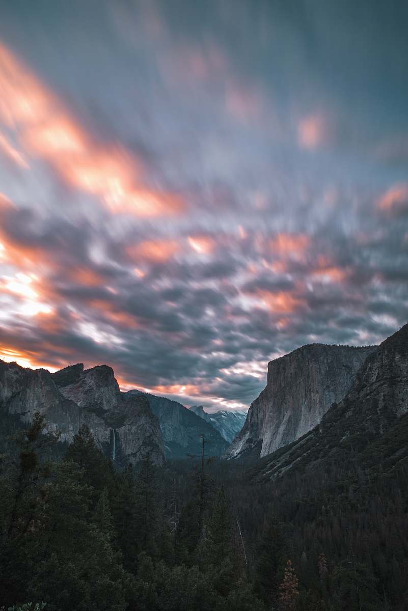 nature trees and mountain outdoors