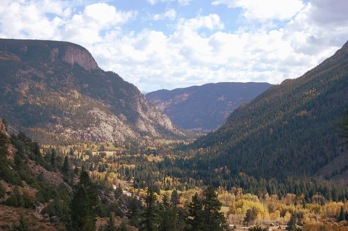 nature trees below mountain valley