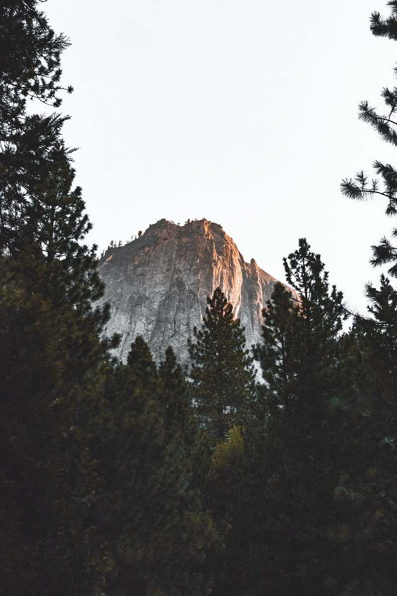 crest trees near mountain taken under white clouds mountain range