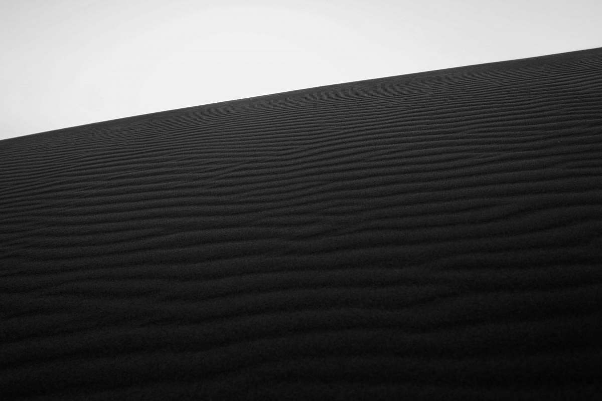 black-and-white  soil