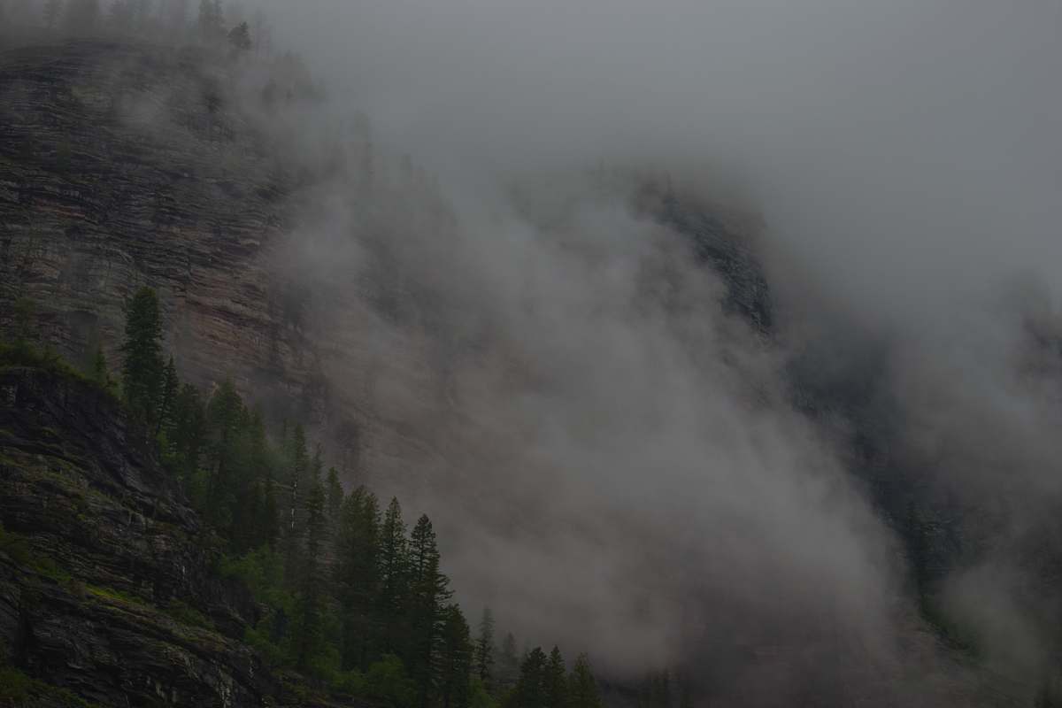 grey  weather