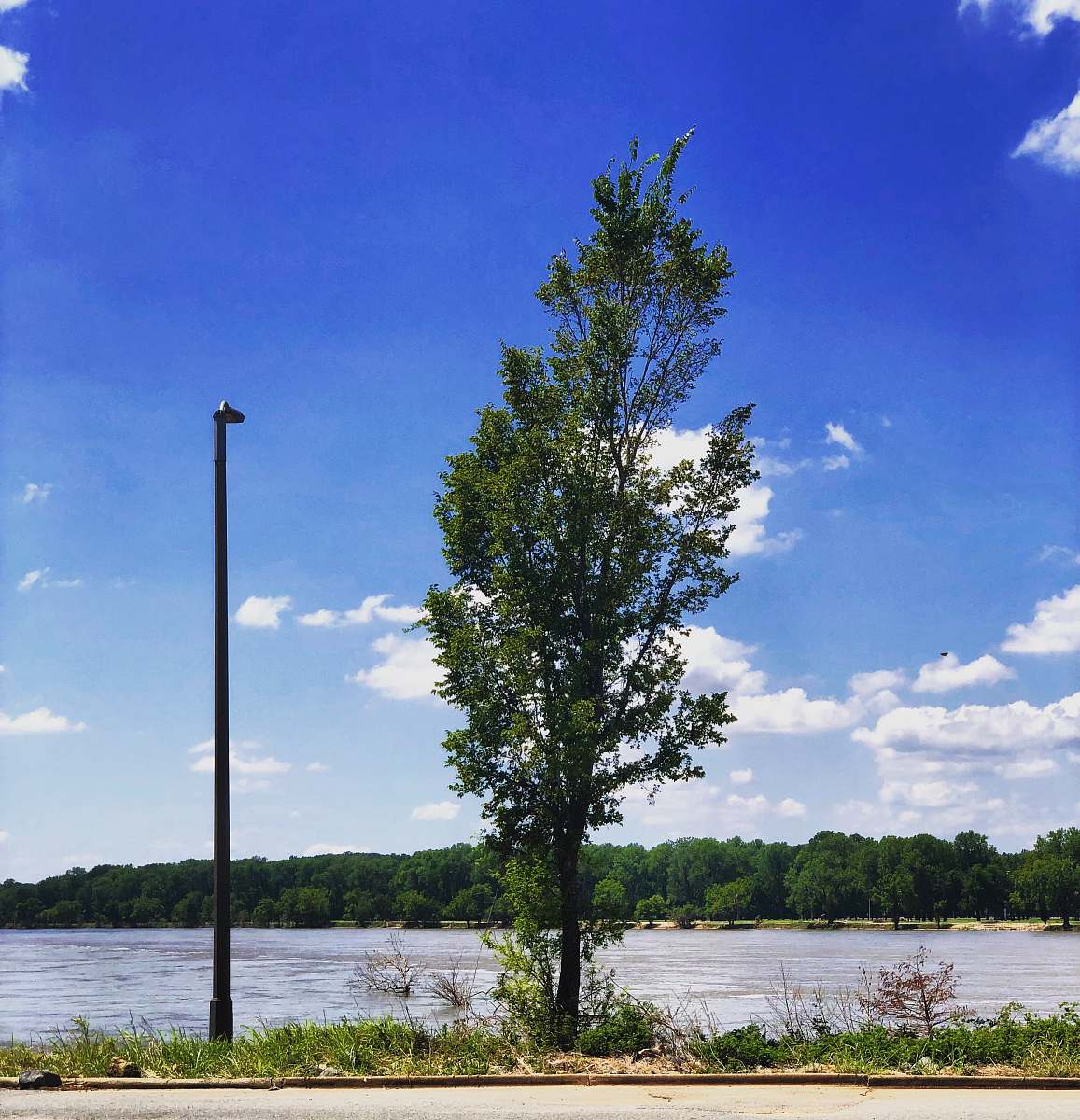 outdoors  water