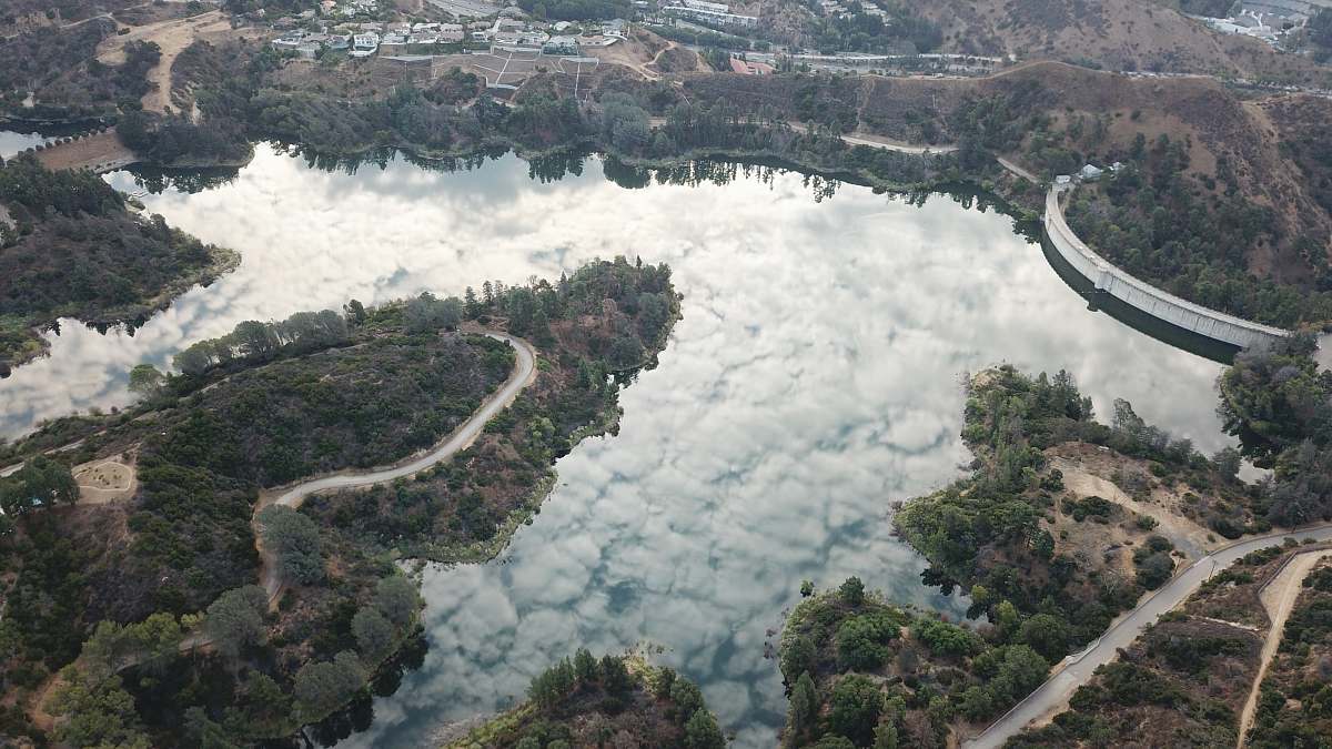 grey aerial photograph of land near lake forest