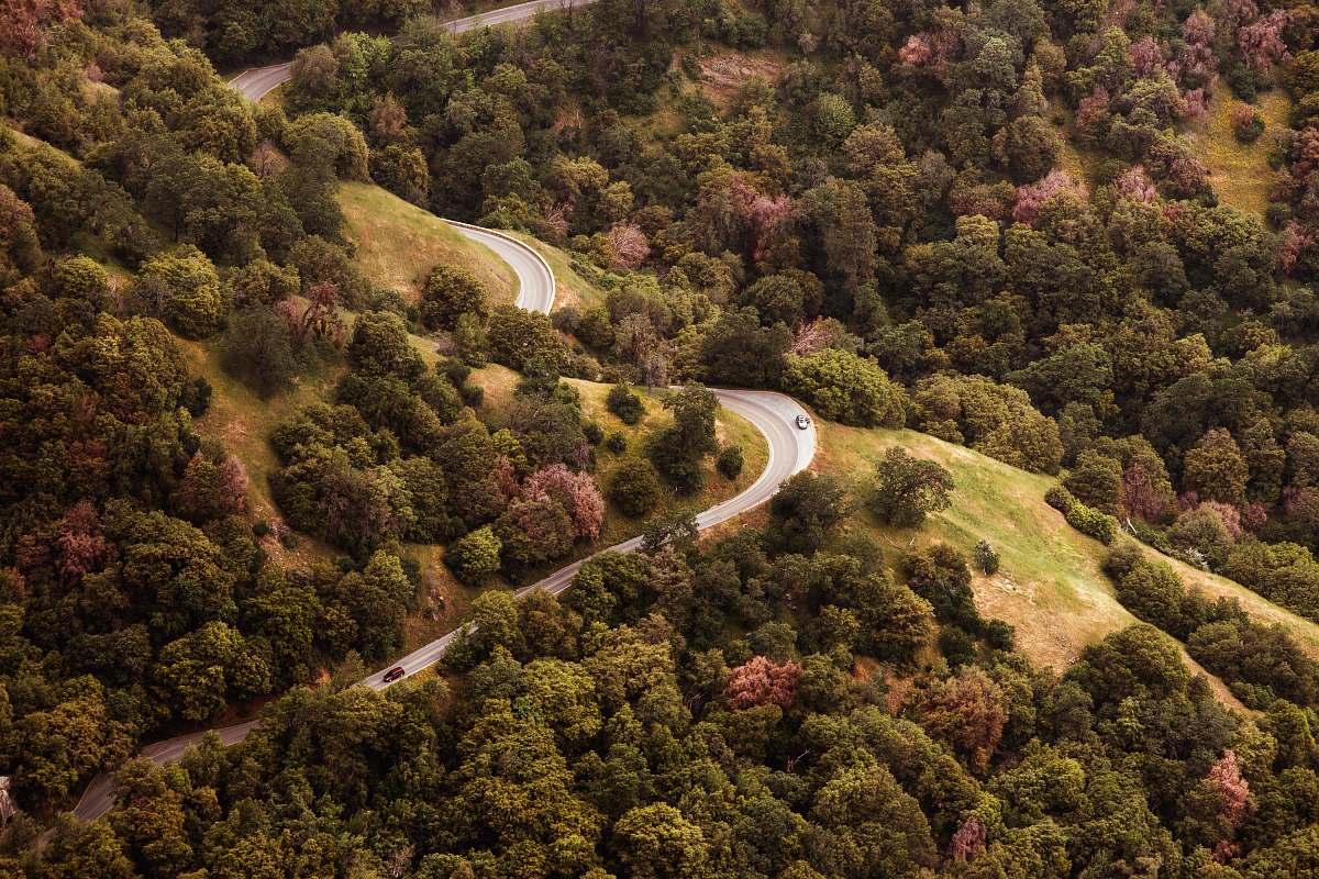 california aerial photography of concrete road in forest forest