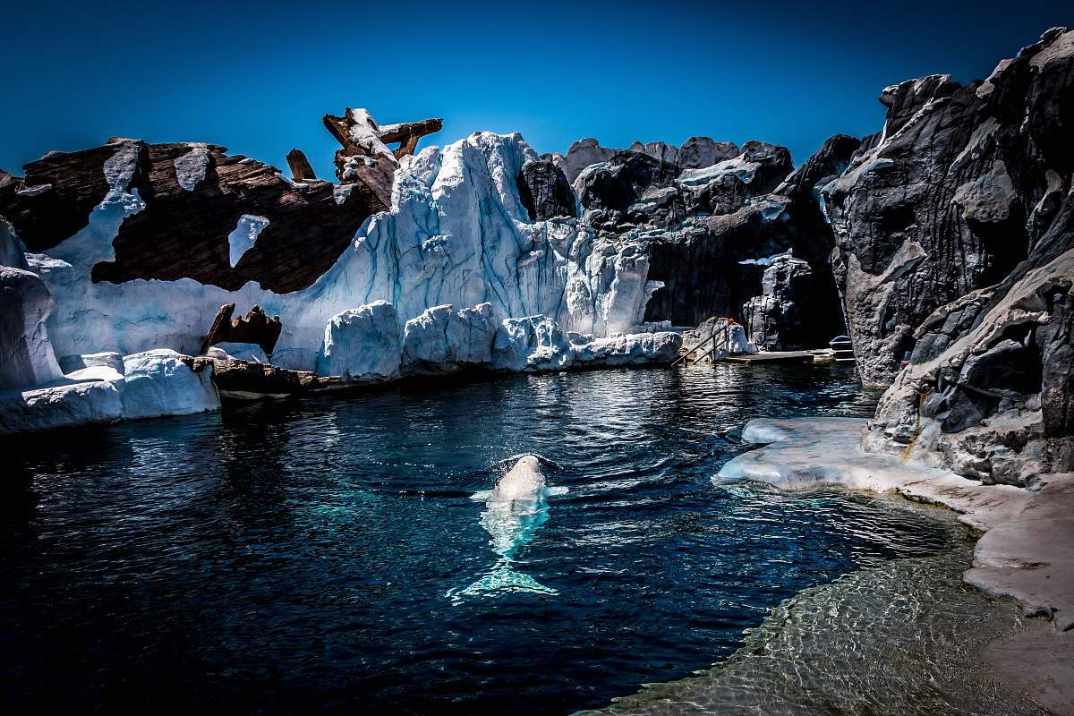 outdoors black rock with melting ice ice