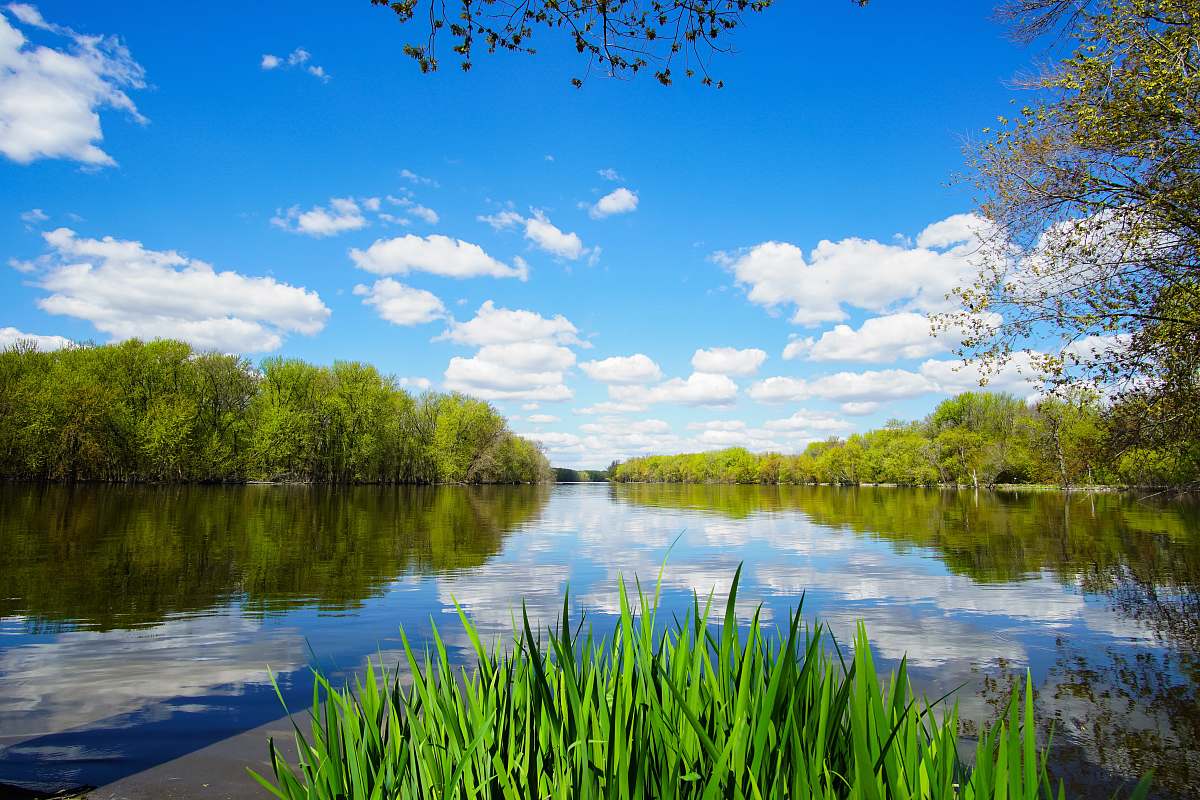 Outdoors Body Of Lake Surrounded With Green Grass Water Image Free Photo