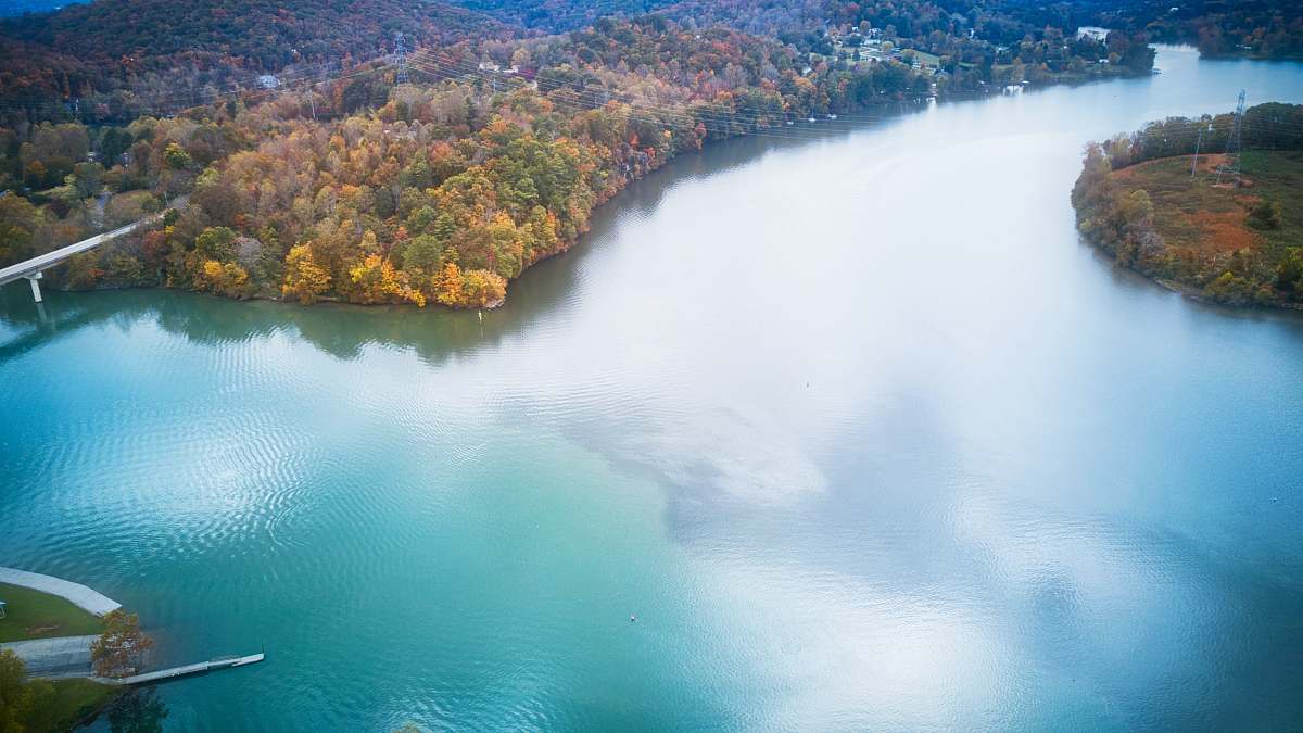 outdoors body of water near plants and trees water