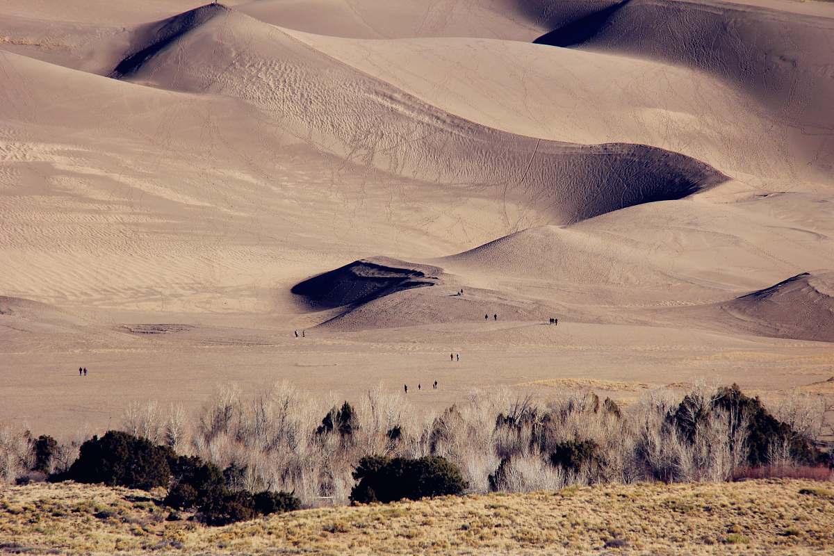 outdoors brown sand at daytime soil