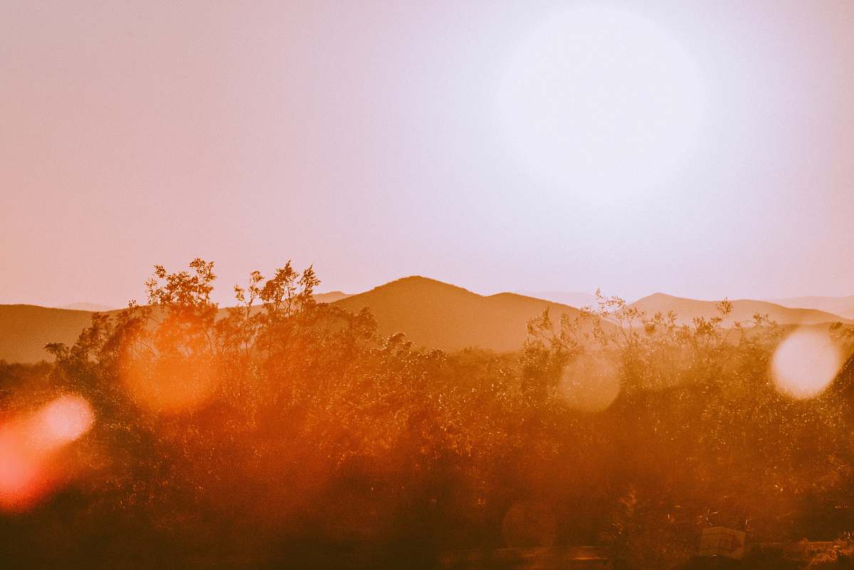 flare brown trees and mountains during sunset light