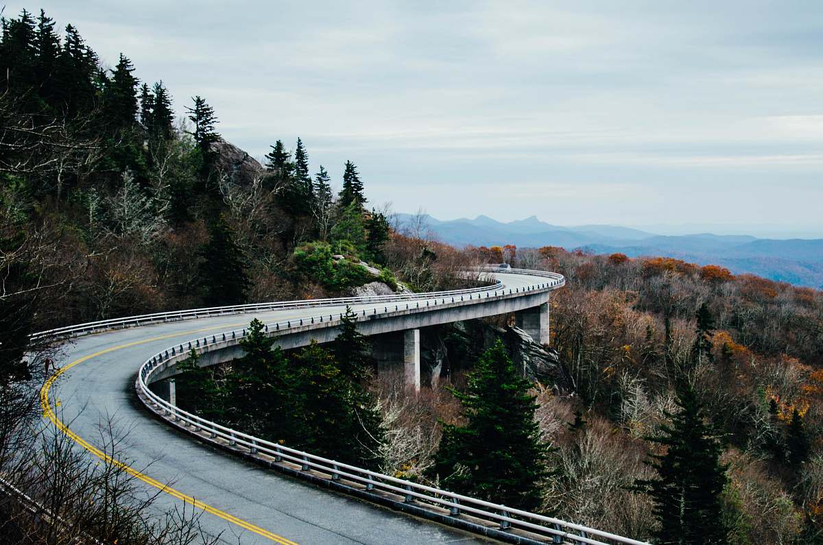 Road Curvy Gray Concrete Road Surrounded With Trees At Daytime ...