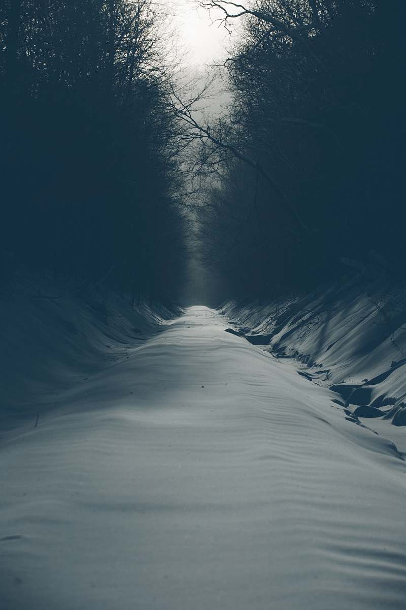 grey empty road covered by snow in between trees during daytime soil