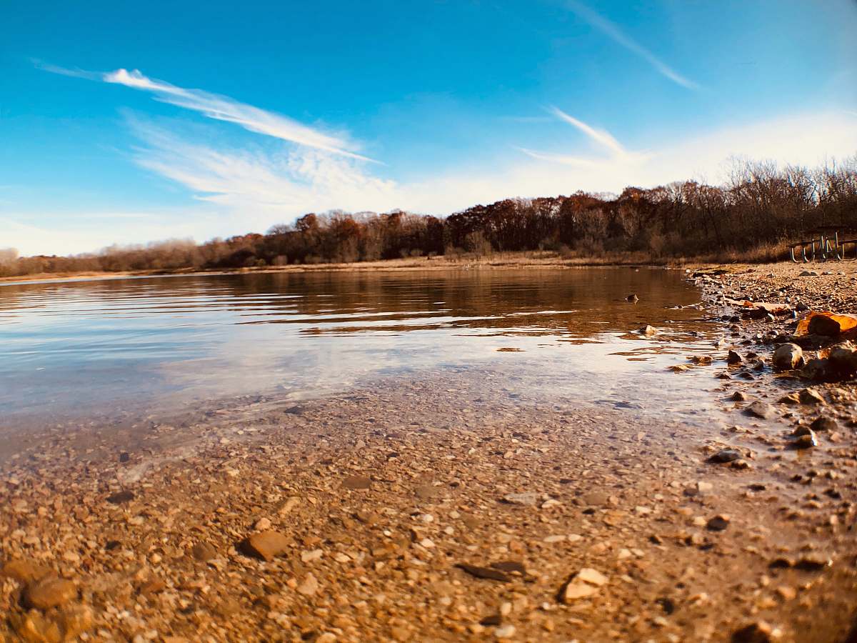 outdoors field of trees near body of water water