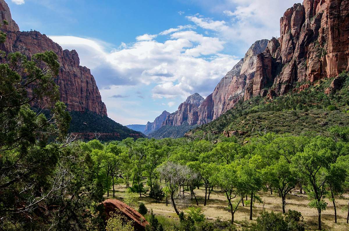 mountain green leafed trees between two rock formations canyon
