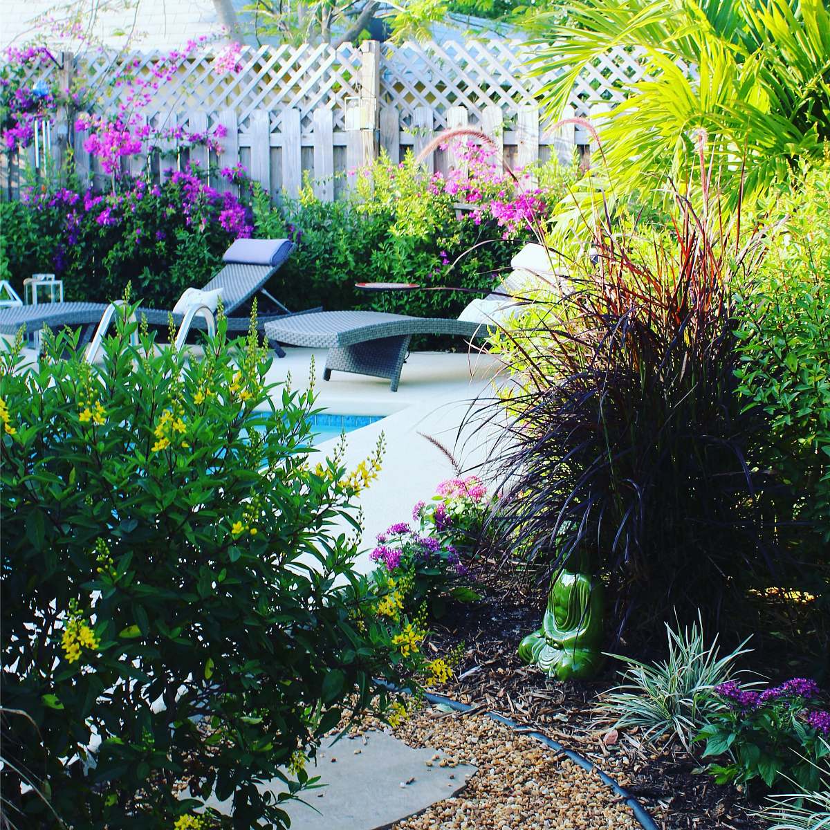 outdoors green outdoor plant yard