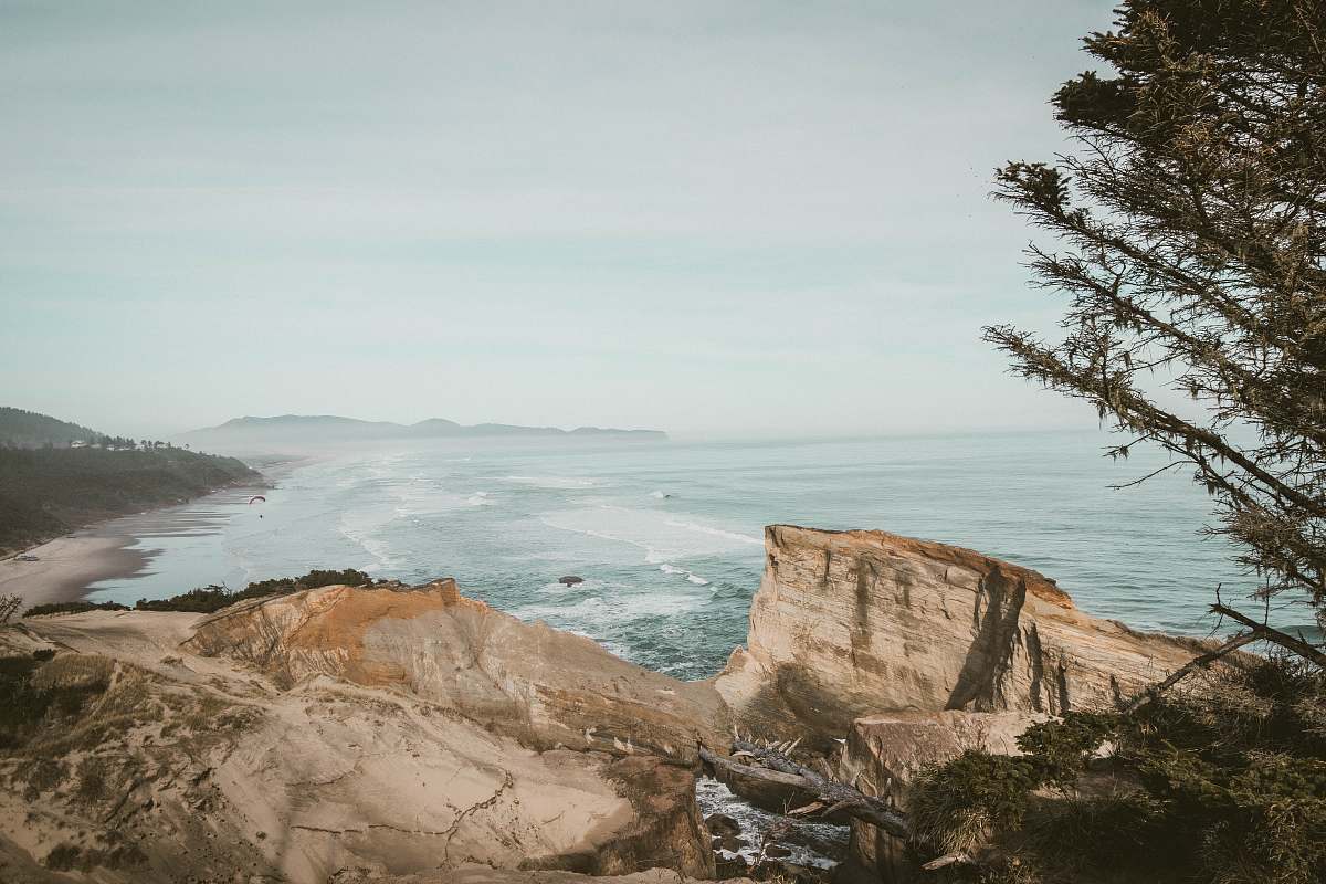 promontory green tree near sea cliff during daytime cliff