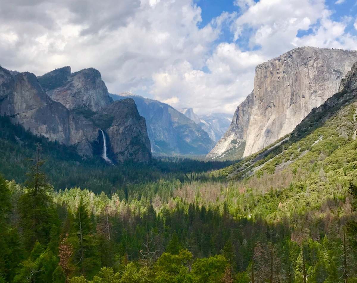 outdoors green trees and rock mountains at daytime mountain