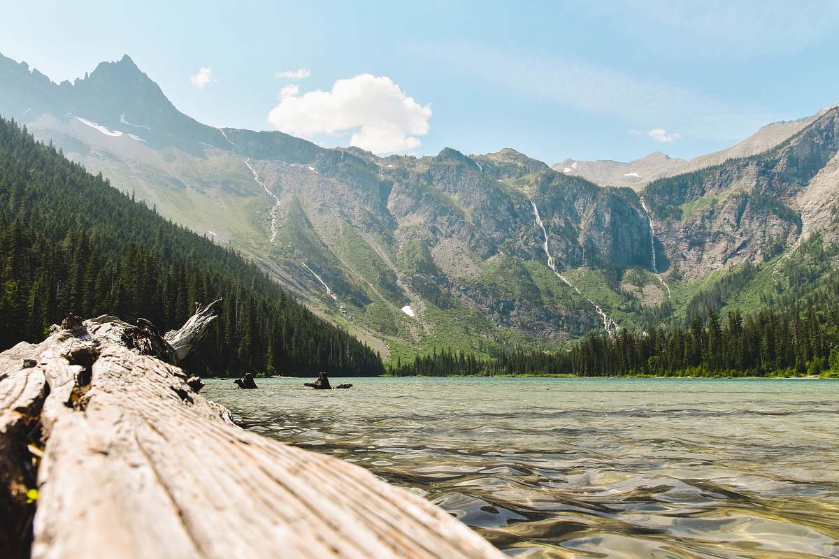 mountain green trees covered mountain avalanche lake