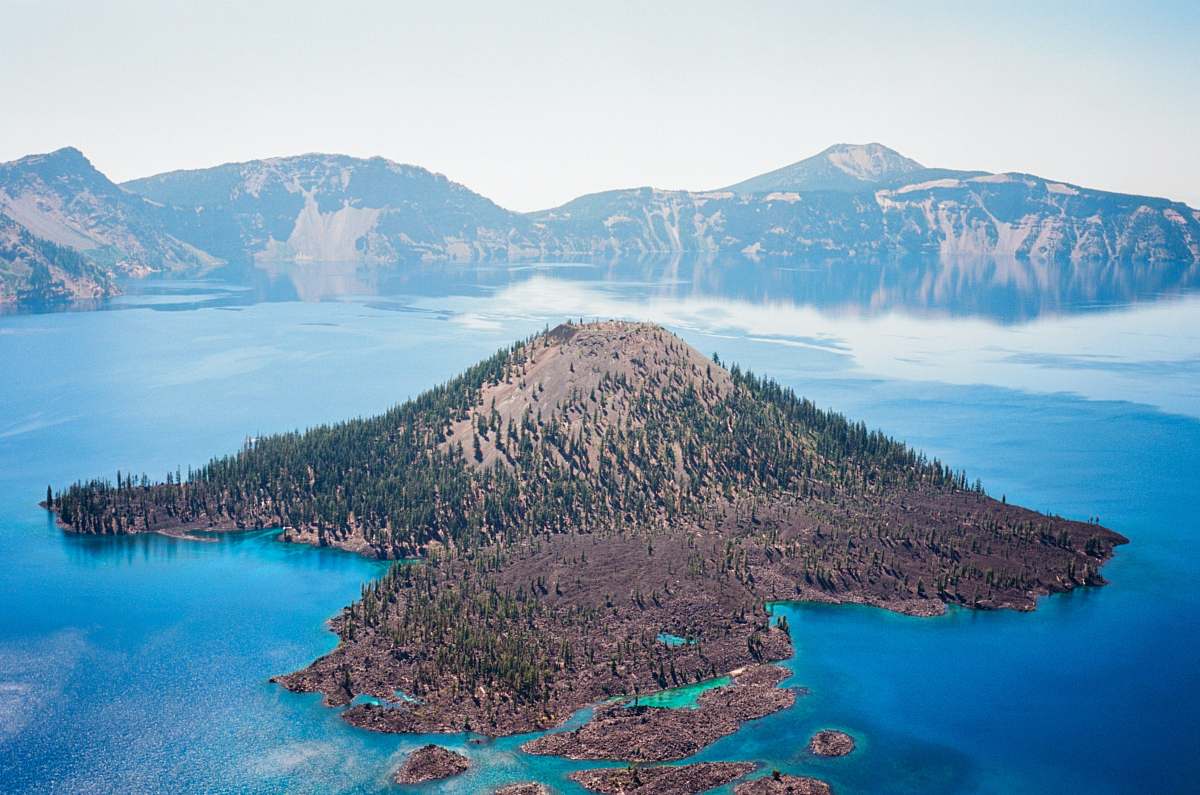 animal island during daytime ocean