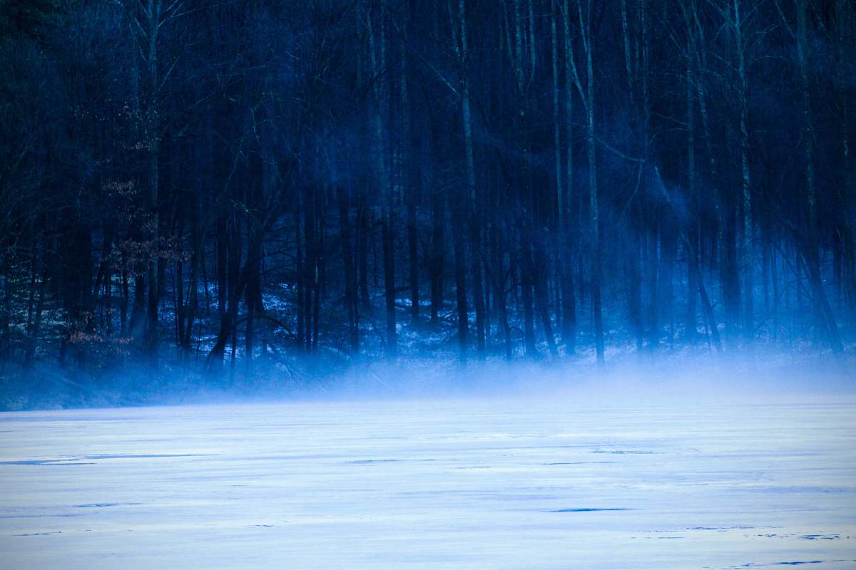 blue landscape photography of bare trees mogadore reservoir