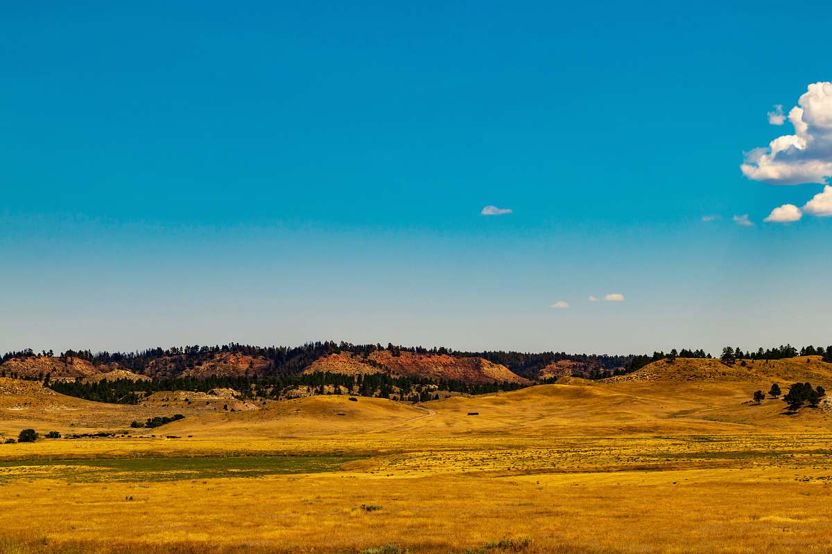 outdoors landscape photography of farm road field