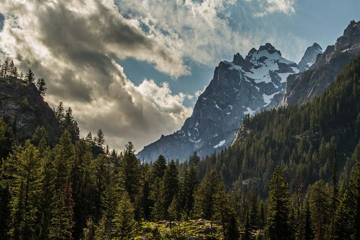 mountain landscape photography of mountains and trees grand teton national park